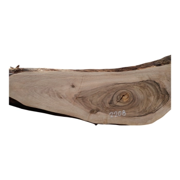 Deska Orzecha Włoskiego 71x3-20x2,6 cm