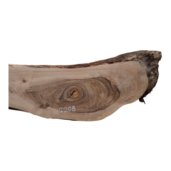 Deska Orzecha Włoskiego 71x3-20x2,6 cm