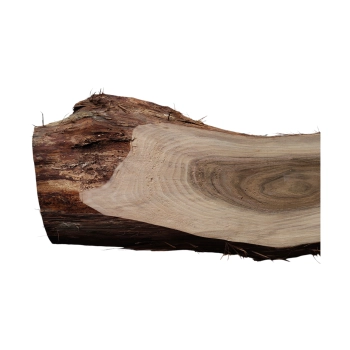 Deska Orzecha Włoskiego 65x18-23x3,8 cm