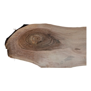 Deska Orzecha Włoskiego 56x10-25x2,8 cm