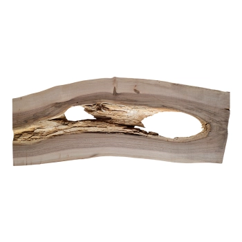 Deska Orzecha Włoskiego 80x25-28x2,8 cm