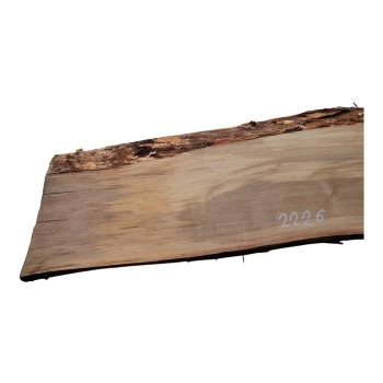 Deska Orzecha Włoskiego 75x14-18x2,5 cm
