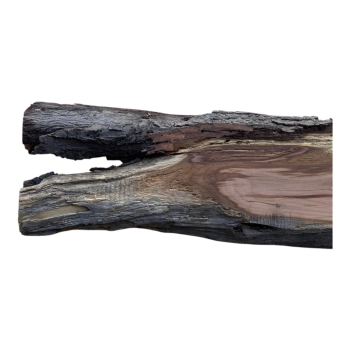 Deska Śliwy 63x3-14x3,3 cm