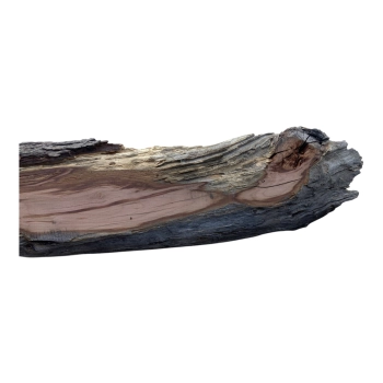Deska Śliwy 63x3-14x3,3 cm