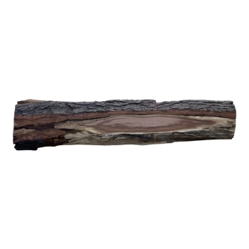 Deska Śliwy 73x12-16x3 cm