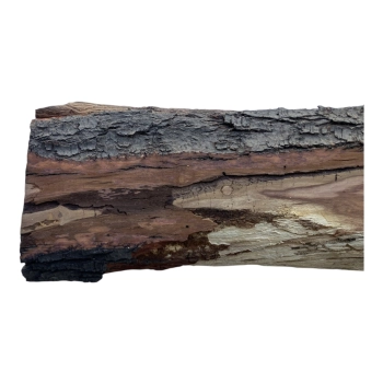 Deska Śliwy 73x12-16x3 cm