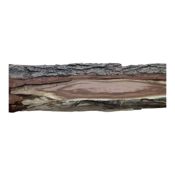 Deska Śliwy 73x12-16x3 cm