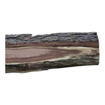 Deska Śliwy 73x12-16x3 cm