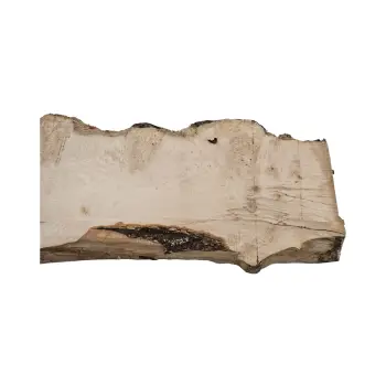 Deska Jesionowa 103x19-33x2,8 cm