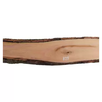 Deska Śliwy 96x8-13x3,2 cm