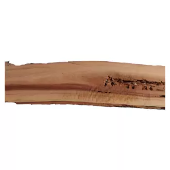 Deska Śliwy 96x8-13x3,2 cm