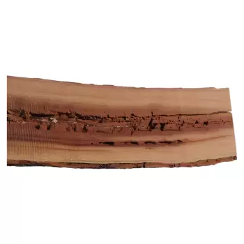 Deska Śliwy 96x8-13x3,2 cm