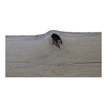 Deska Dębowa 113x44-50x3,8 cm Dąb