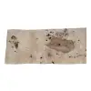 Deska Jesionowa 85x19-23x2,4 cm