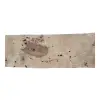 Deska Jesionowa 85x19-23x2,4 cm