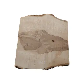 Deska Jesionowa 43x36-48x2,4 cm