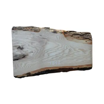 Deska Jesionowa 51x13-29x2,3 cm