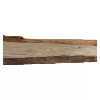 Deska Dębowa 141x8-14x2,4 cm Dąb