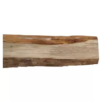 Deska Dębowa 141x8-14x2,4 cm Dąb