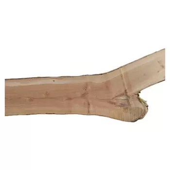 Deska Jabłoni 150x3-20x5,7 cm