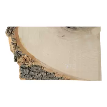 Deska Jesionowa 50x10-51x4,8 cm