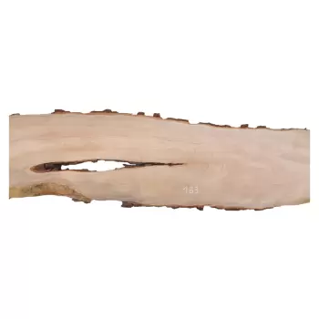 Deska Gruszy 156x5-15x2,1 cm