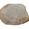 Plaster Dębowy 37x32cm