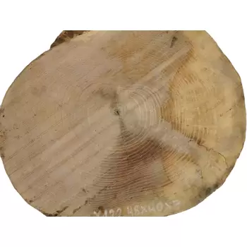 Plaster Jesionowy 48x40 cm