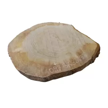 Plaster Dębowy 37x32cm
