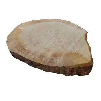 Plaster Dębowy 37x32cm