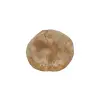 Plaster Jawora 35x32x4cm