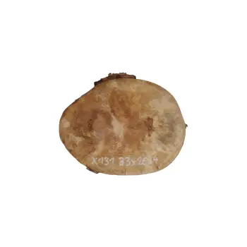 Plaster Jawora 33x26x4cm