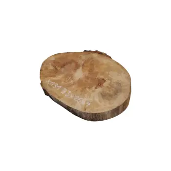 Plaster Jawora 33x26x4cm