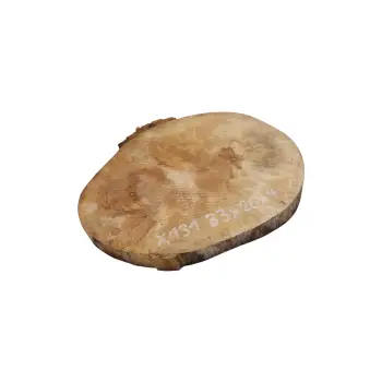 Plaster Jawora 33x26x4cm