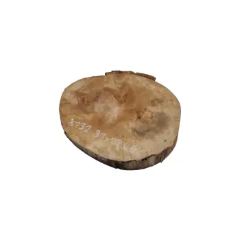 Plaster Jawora 31x27x4cm