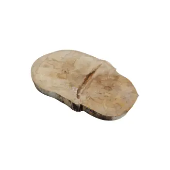 Plaster Jawora 41x25x3,5cm