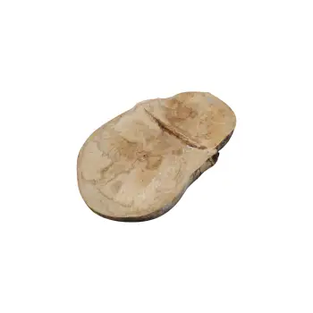 Plaster Jawora 41x25x3,5cm