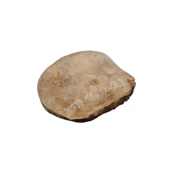 Plaster Jawora 19x17x3,5cm