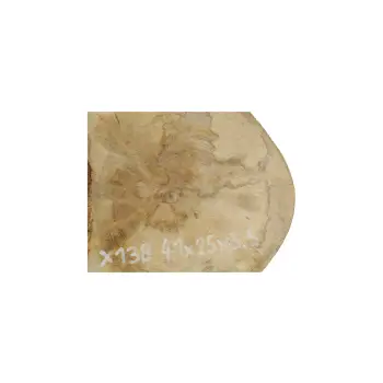 Plaster Jawora 41x25x3,5cm