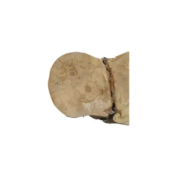 Plaster Jawora 41x24x3,5cm