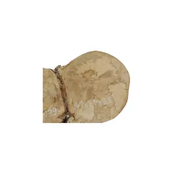 Plaster Jawora 41x24x3,5cm