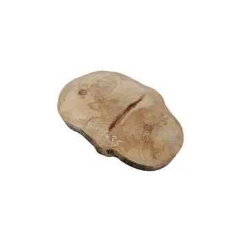 Plaster Jawora 40x25x3,5cm