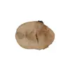 Plaster Jawora 35x26x4cm