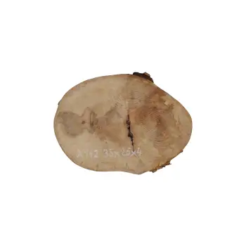 Plaster Jawora 35x26x4cm