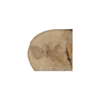 Plaster Jawora 35x26x4cm