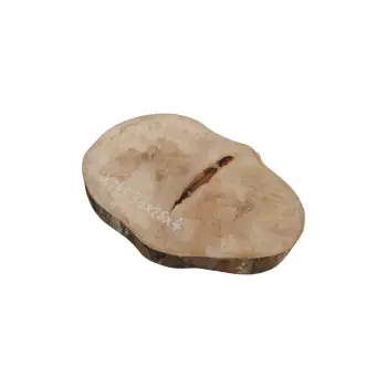 Plaster Jawora 38x26x4cm