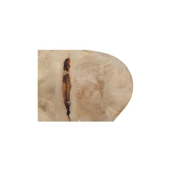 Plaster Jawora 38x26x4cm