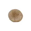 Plaster Jawora 34x31x4cm