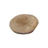 Plaster Jawora 34x31x4cm
