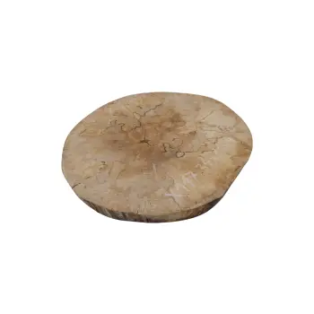 Plaster Jawora 34x31x4cm